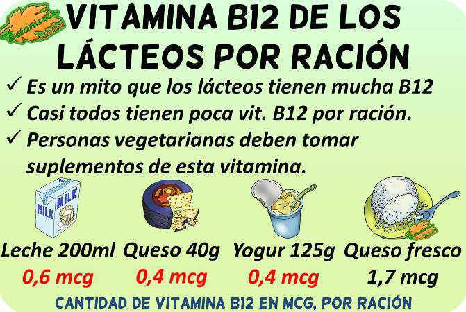 cantidad vitamina b12 lacteos