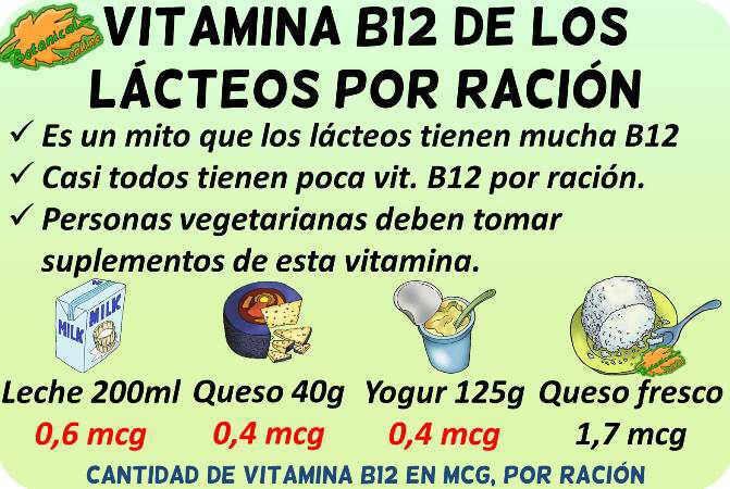 cantidad vitamina b12 lacteos