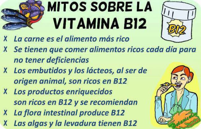 mitos vitamina b12 vegetarianos omnivoros