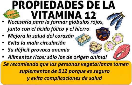 propiedades y beneficios de la vitamina b12 o cobalamina