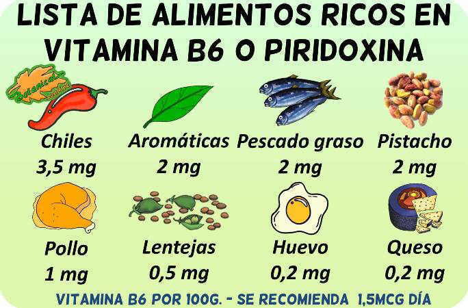 vitamina b6 piridoxina alimentos ricos cantidad