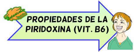 propiedades piridoxina b6