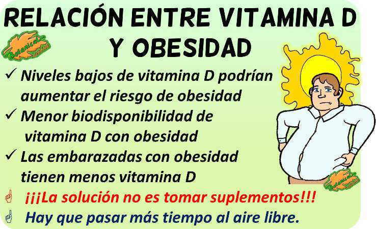 vitamina d para adelgazar propiedades obesidad