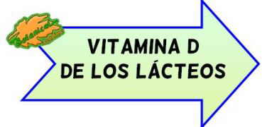 vitamina d de los lacteos