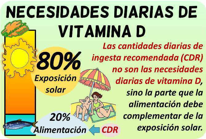 vitamina d necesidades diarias ingesta