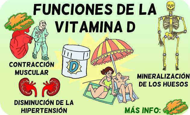 vitamina d funciones propiedades beneficios de tomar el sol 