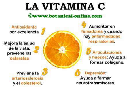 Propiedades de la vitamina C