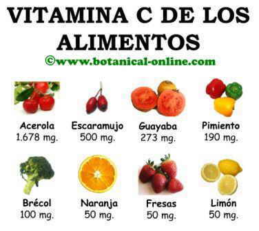 Fuentes de vitamina c, alimentos con vitamina c