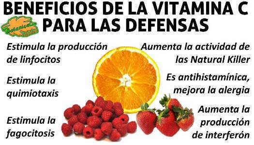 vitamina c para aumentar las defensas y el sistema inmunitario