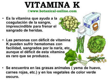 Propiedades de la vitamina K