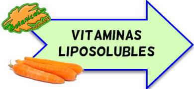 vitaminas liposolubles