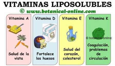 Vitaminas liposolubles, beneficios, propiedades medicinales y funciones