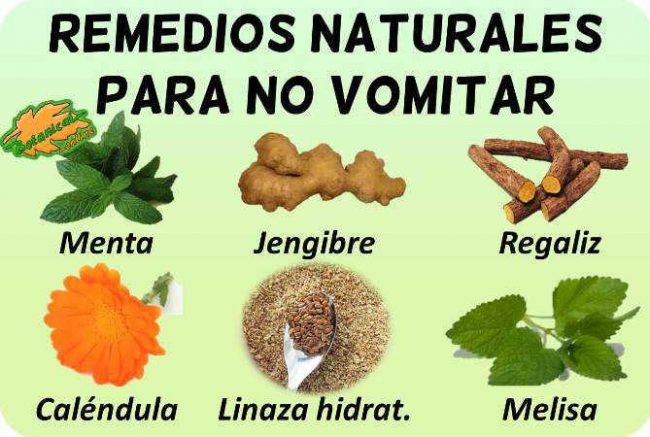 vomitos plantas medicinales remedios suplementos tratamiento natural