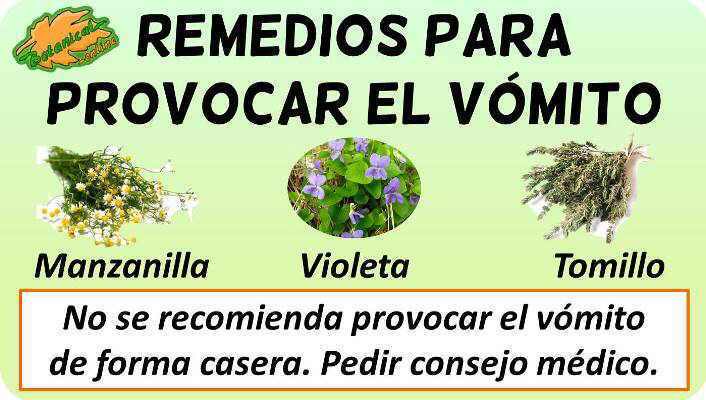 provocar vomito rapido plantas medicinales remedios suplementos tratamiento natural