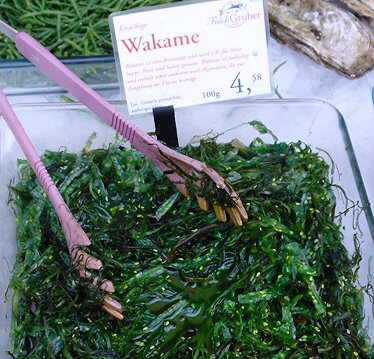 alga wakame
