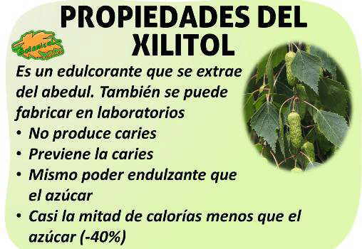 Propiedades medicinales del llantén