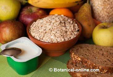 yogur bifidus con copos de avena y pan integral