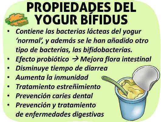 Propiedades medicinales del yogur bifidus bifidobacterium