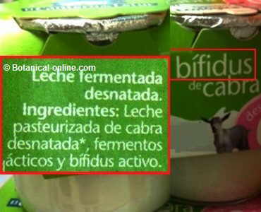 Etiqueta de yogur bifidus