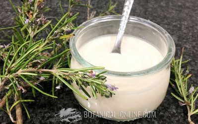 yogur casero sabores romero limon receta