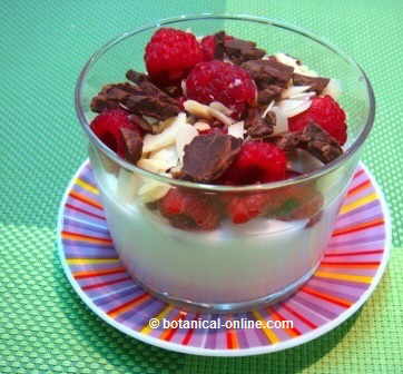 Yogur con frambuesas, almendras y chocolate