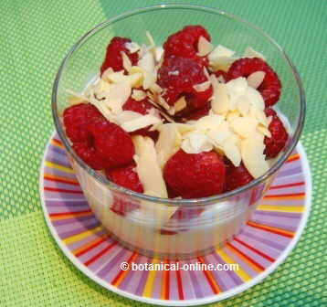 Yogur con frambuesas y almendras