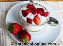 yogur con fresas