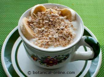 Foto de yogur con nueces y avena