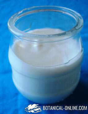Yogur natural envase cristal