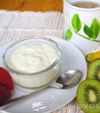 yogur con fruta