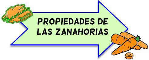 propiedades zanahoria