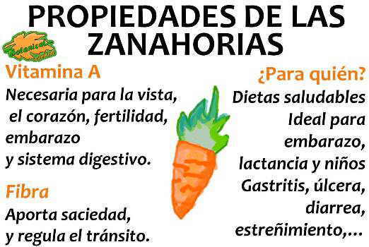 propiedades de las zanahorias y sus beneficios, vitaminas 