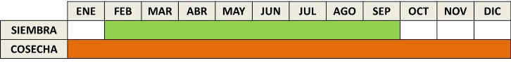 Calendario de cultivo de la zanahoria