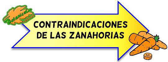 contraindicaciones de las zanahorias