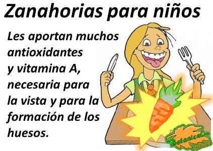 zanahorias saludables para niños