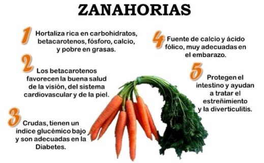 Propiedades de las zanahorias