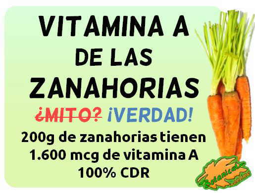 cantidad de vitamina A de las zanahorias