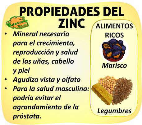 propiedades y beneficios del zinc y alimentos ricos en este mineral