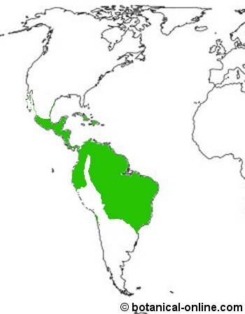 Mapa de zona tropical