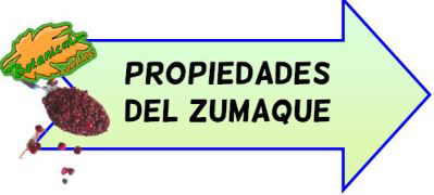 propiedades medicinales del zumaque